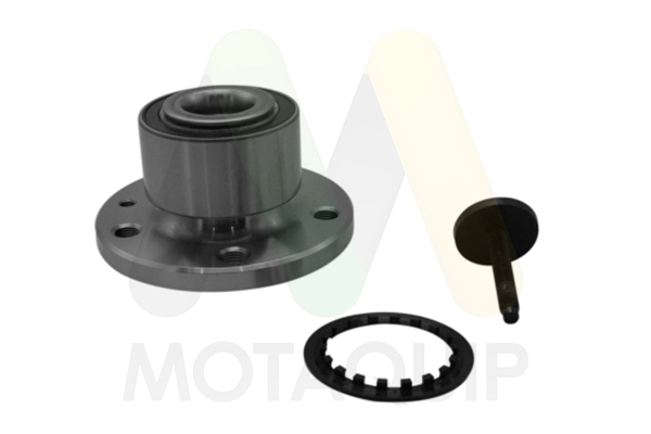 LVBW1679 Motaquip