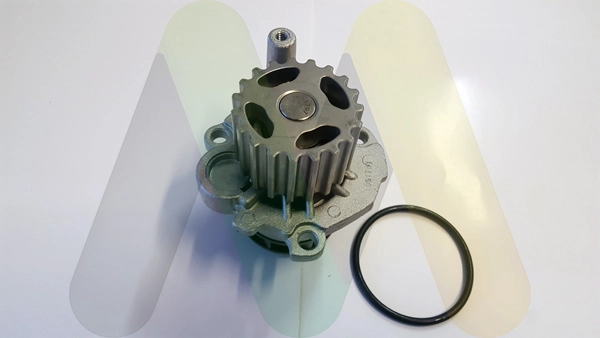 Motor de agua Audi A2  hatchback comprar en España