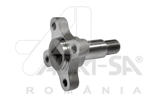 32035 Asam