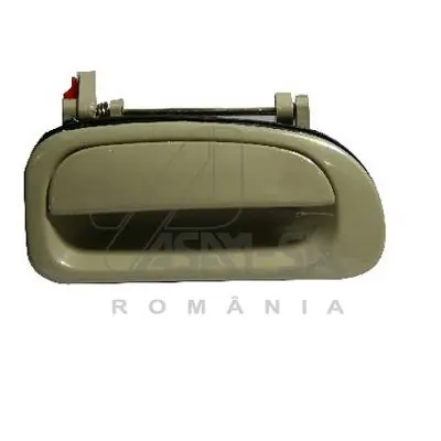 30336 Asam