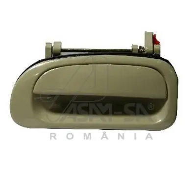 30335 Asam