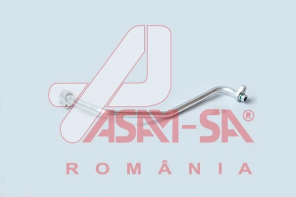 32685 Asam