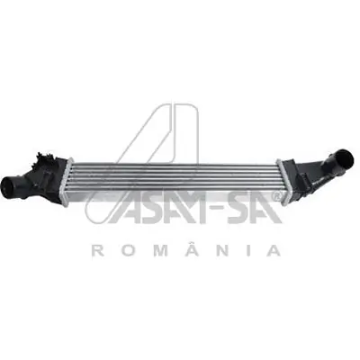30592 Asam