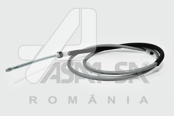 30918 Asam