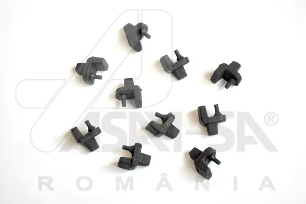 32099 Asam
