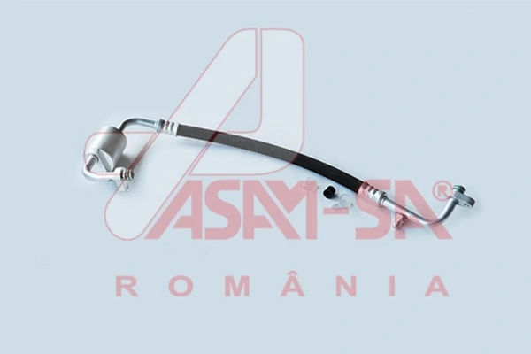 32686 Asam