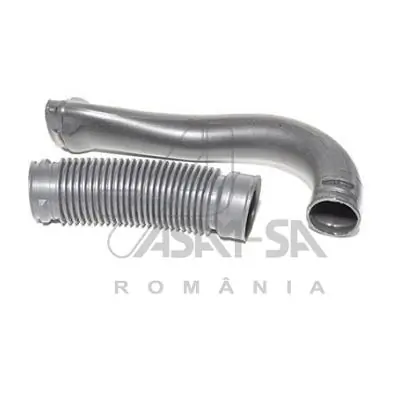 30495 Asam