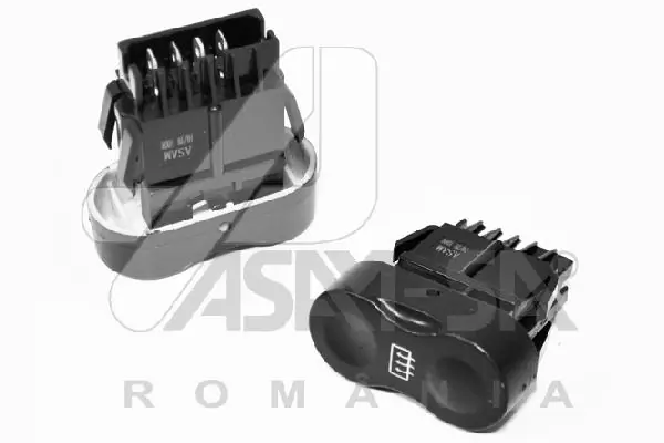 30994 Asam