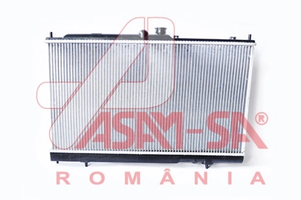 32431 Asam