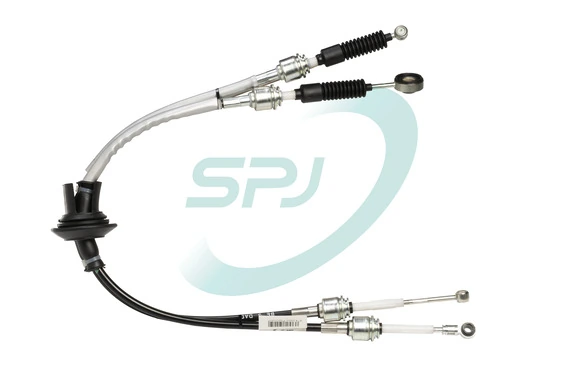 095103 SPJ
