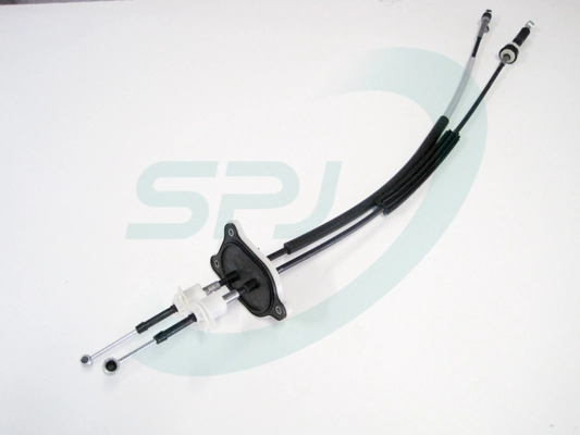 082099 SPJ