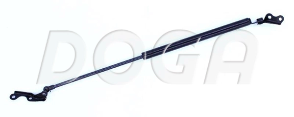 2023823 Doga