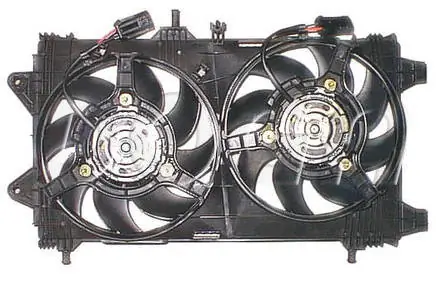 EFI031 Doga