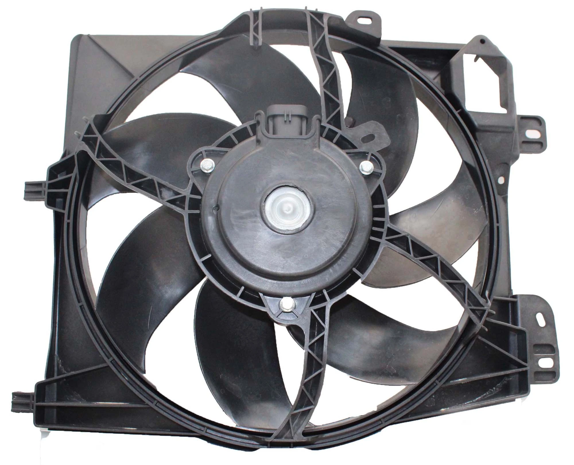 ECI109 Doga