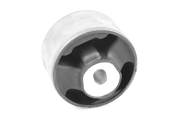 Silentblock del soporte trasero del motor Ted-gum TED23091 precio, desde 61,95 EUR