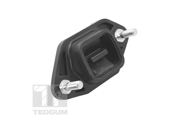 TED14845 Ted-gum