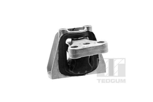 00269162 Ted-gum