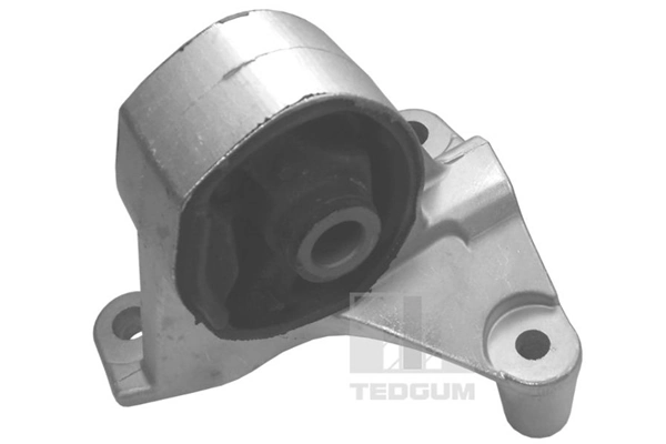 00264833 Ted-gum