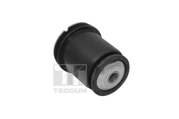 00519570 Ted-gum