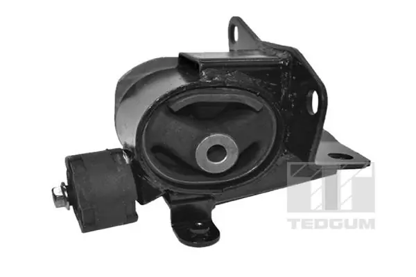 TED49093 Ted-gum