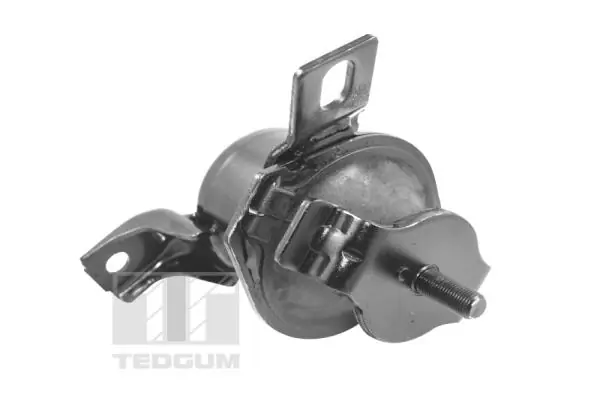 00441120 Ted-gum