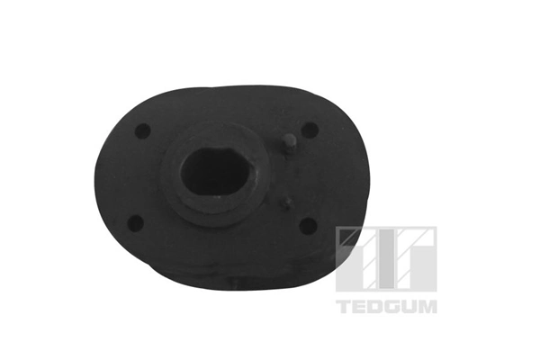 Soporte del soporte trasero del motor Peugeot/Citroen 13117089 precio, desde 31,63 EUR