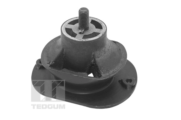 TED40521 Ted-gum