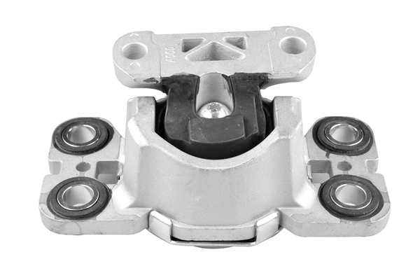 TED47540 Ted-gum