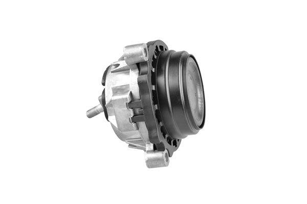 Soporte de motor derecho Ted-gum TED98030 precio, desde 54,70 EUR