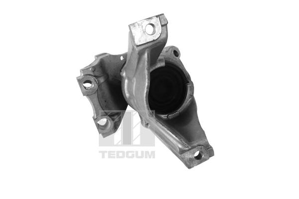 00269182 Ted-gum