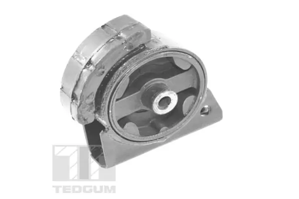 00671816 Ted-gum