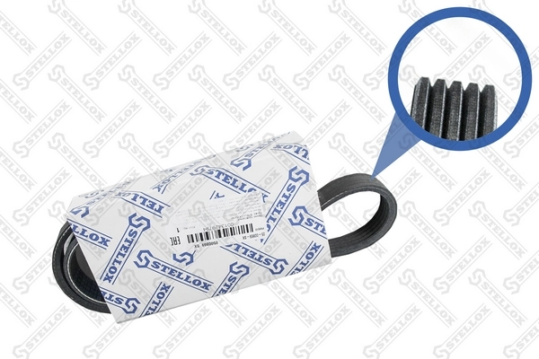 Correa de transmisión trapezoidal BMW 3 familiar (E46) (1999 - 2005) precio, desde 10,45 EUR