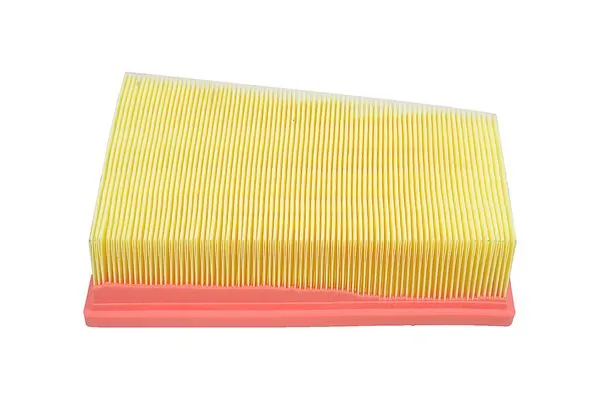 Filtro aire Maxgear AF251