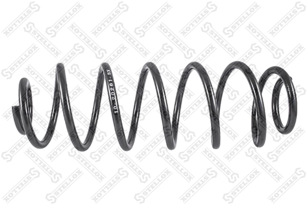 Muelle trasero Ford Fusion  (2002-2012)