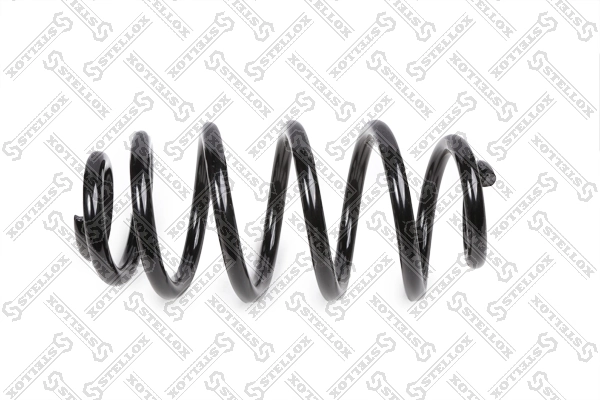 Muelle trasero Audi A4 (2000-2005)
