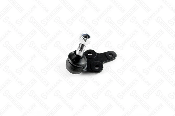  para Ford C-Max  (DM2)