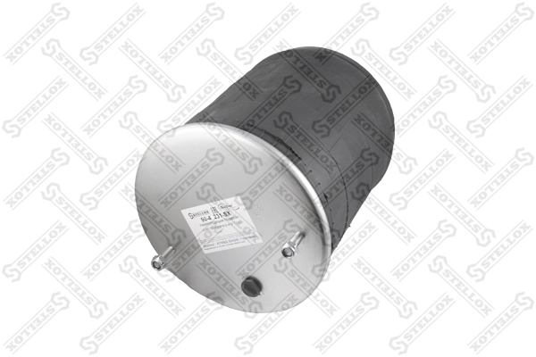 Bolsa de aire del eje trasero 2923V SAF