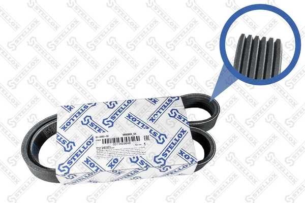 Comprar Correa de alternador Ford Fiesta Mk7 