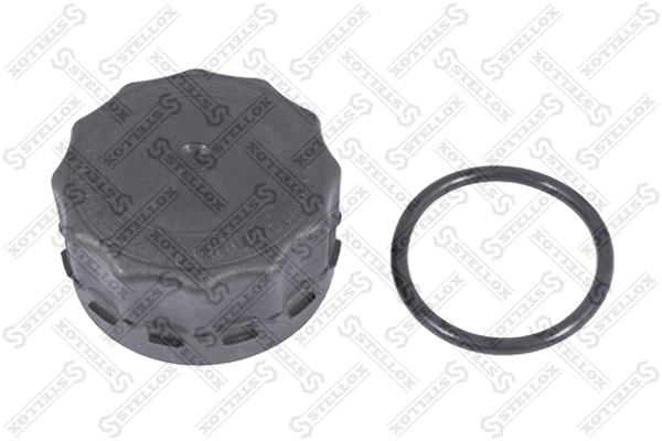 Tapa de depósito de agua Renault Trucks MAGNUM  camiones tractores comprar en España