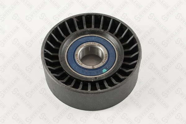 Rodillo guia Ford Focus I