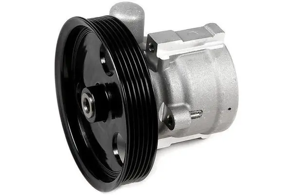 Bomba de dirección 491100522R Lada