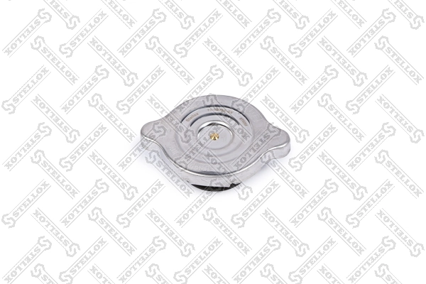 Tapa de radiador para Mercedes E  S124