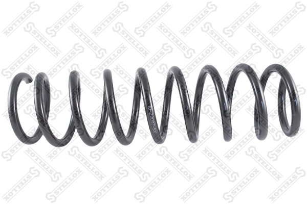 Muelle trasero BMW 5  (1995-2003)