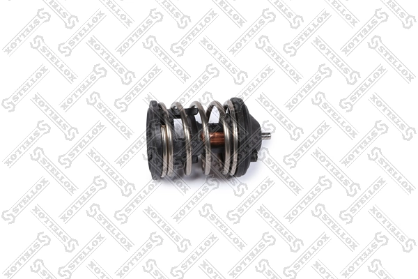 Termostato refrigerante BMW 5  (F10)