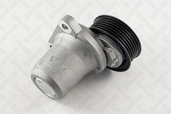 Tensor de la correa trapecial poli v para Mazda CX-7  (ER)