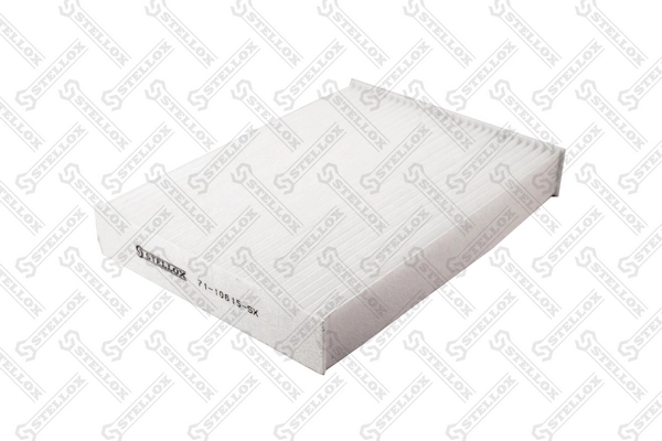 Filtro antipolen para Dacia Lodgy  JS