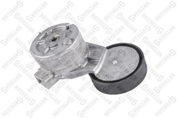 1613840780 Peugeot/Citroen Tensor de correa de alternador