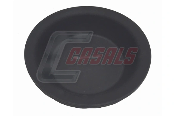42421 Casals