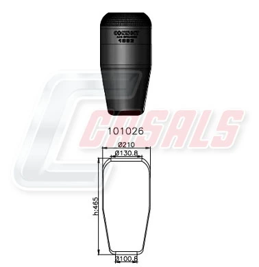 B1009 Casals