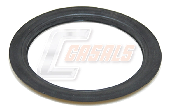20297 Casals